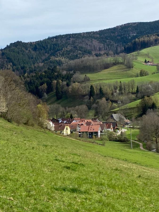 Schwarzwaldglueck Apartment Oberried  Exterior foto